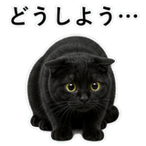 852787903