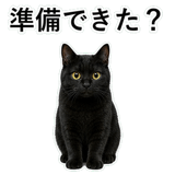 852787908