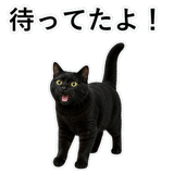 852787920