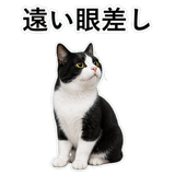 852787940