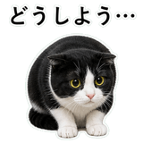 852787943