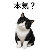 852787945