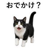 852787949