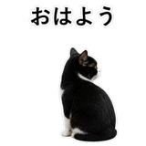 852787964