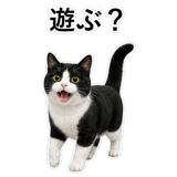 852787969