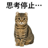 852788250
