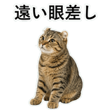 852788252