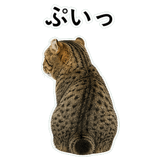 852788256