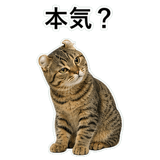 852788257