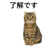852788258