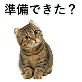 852788260