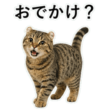 852788261