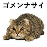 852788262