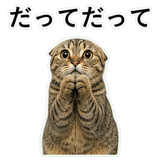 852788263