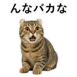 852788267