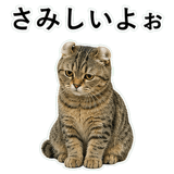 852788269