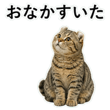 852788271