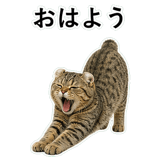 852788276