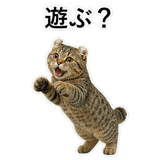 852788281