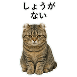 852788285