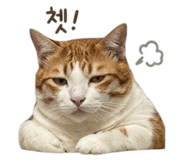 852789971
