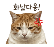 852789976