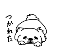 852800443
