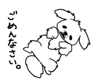 852800446