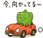 852800616