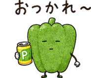 852800620