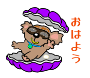 852801417