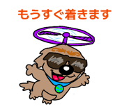 852801427
