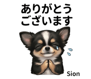852802475