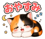 852803144