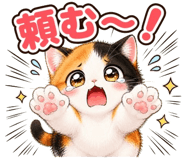 852803150