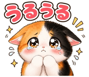 852803153