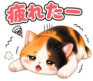 852803165