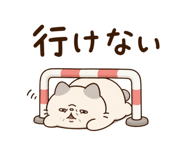 852803481
