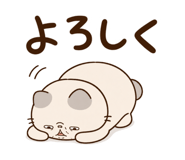 852803505