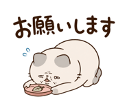 852803511
