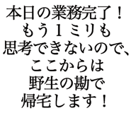 852804144