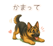 852804147