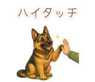 852804152