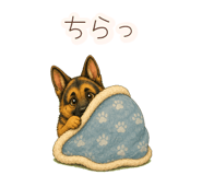 852804156