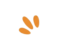 852804776