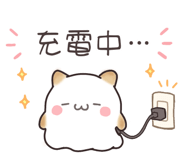 852805716