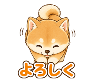 852806121