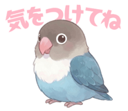 852806425