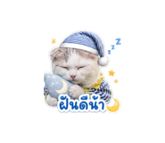 852810548
