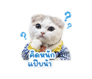 852810550